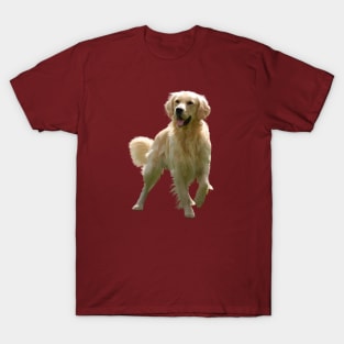 golden Retriever T-Shirt